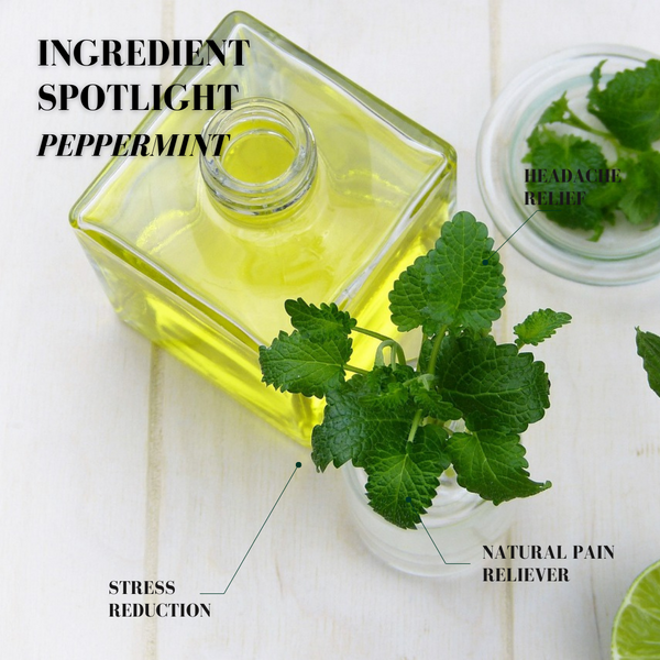 Ingredient Spotlight: The Refreshing Power of Peppermint