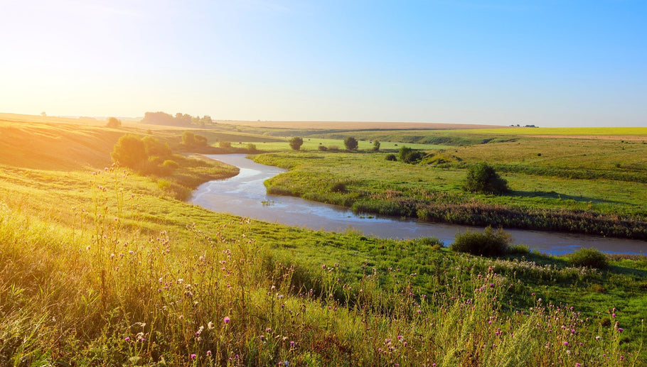 Sustainable Skin Care - The Power of Farm-Sourced Lanolin